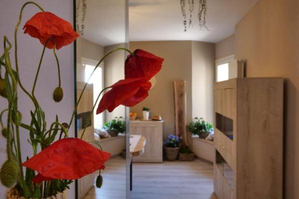 Apartament Il Sogno Spello Zewnętrze zdjęcie