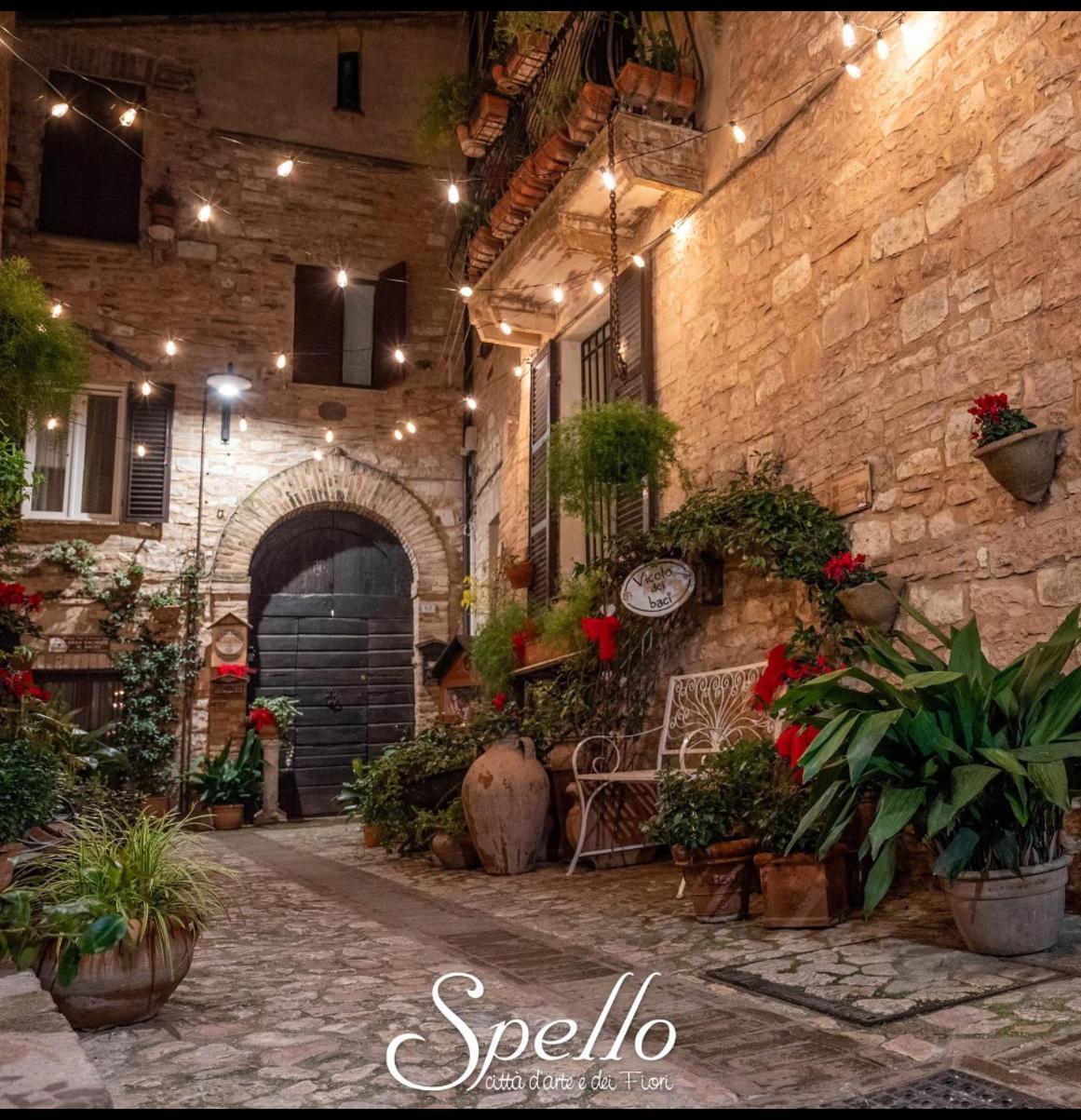 Apartament Il Sogno Spello Zewnętrze zdjęcie